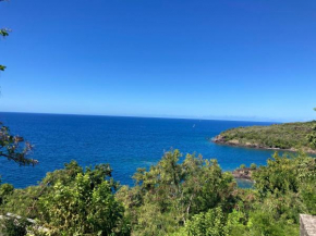Le relais des tortues